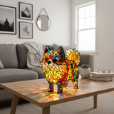 Pomeranian Vibrant