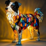 Border Collie de Rasă Pură