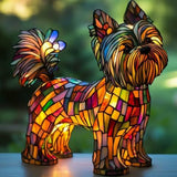 Yorkshire Terrier Strălucitor