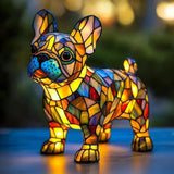 Buldog Francez Strălucitor